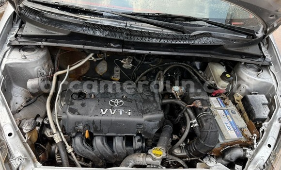 Sayi Na hannu Toyota Yaris Sauran Mota in Douala a Ƙasar Kamaru Sayi Na hannu Toyota Yaris Sauran Mota in Douala a Ƙasar Kamaru