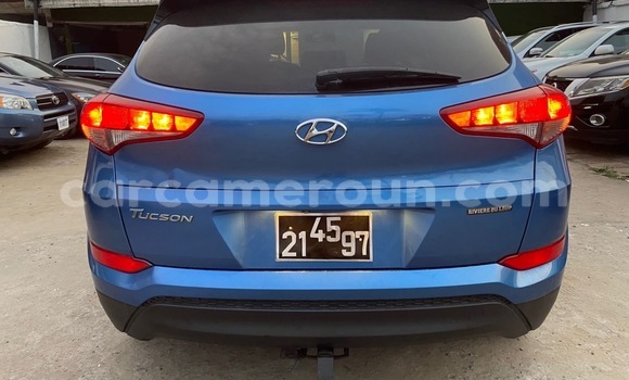 Buy Import Hyundai Tucson Blue Car in Douala in Littoral Cameroon Buy Import Hyundai Tucson Blue Car in Douala in Littoral Cameroon