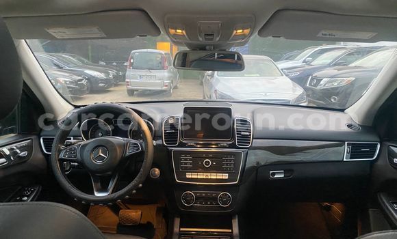 Buy Used Mercedes‒Benz GLE Black Car in Douala in Littoral Cameroon Buy Used Mercedes‒Benz GLE Black Car in Douala in Littoral Cameroon