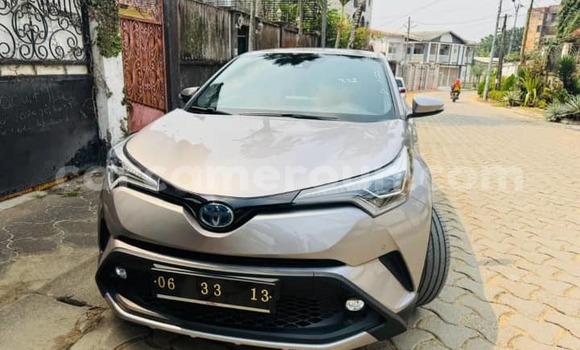 Buy Used Toyota RAV4 Brown Car in Douala in Littoral Cameroon