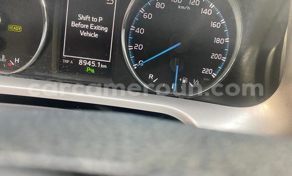 Sayi Na hannu Toyota RAV4 Blue Mota in Douala a Ƙasar Kamaru Sayi Na hannu Toyota RAV4 Blue Mota in Douala a Ƙasar Kamaru