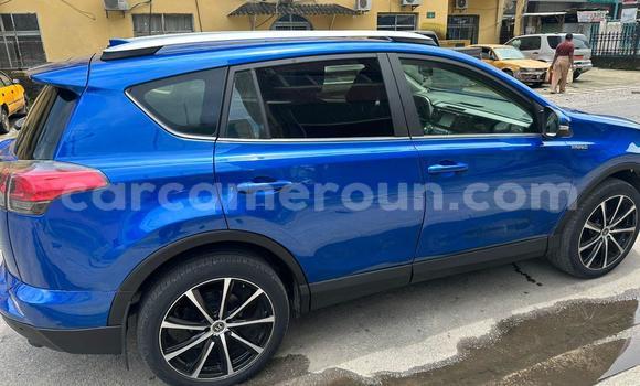Sayi Na hannu Toyota RAV4 Blue Mota in Douala a Ƙasar Kamaru Sayi Na hannu Toyota RAV4 Blue Mota in Douala a Ƙasar Kamaru