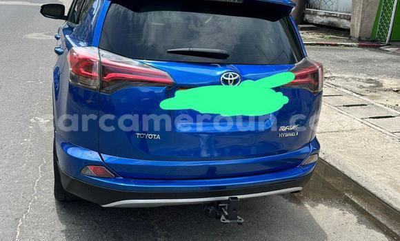 Sayi Na hannu Toyota RAV4 Blue Mota in Douala a Ƙasar Kamaru Sayi Na hannu Toyota RAV4 Blue Mota in Douala a Ƙasar Kamaru
