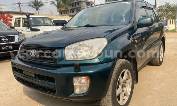 Acheter Import Voiture Toyota RAV4 Vert à Douala, Littoral Cameroon