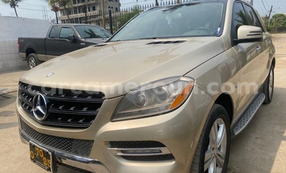 Acheter Import Voiture Mercedes‒Benz ML–Class Autre à Douala, Littoral Cameroon