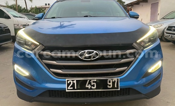 Buy Import Hyundai Tucson Blue Car in Douala in Littoral Cameroon Buy Import Hyundai Tucson Blue Car in Douala in Littoral Cameroon