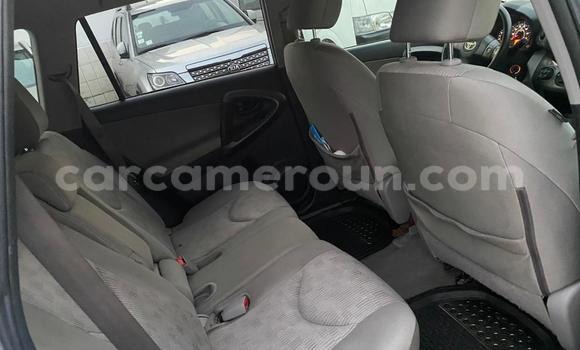 Acheter Occasion Voiture Toyota RAV4 Gris à Douala, Littoral Cameroon Acheter Occasion Voiture Toyota RAV4 Gris à Douala, Littoral Cameroon