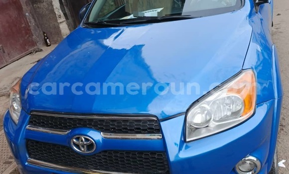 Buy Used Toyota RAV4 Blue Car in Douala in Littoral Cameroon