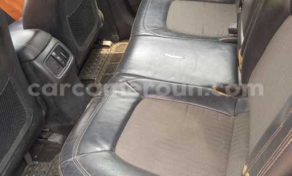 Buy Used Kia Sportage Silver Car in Douala in Littoral Cameroon Buy Used Kia Sportage Silver Car in Douala in Littoral Cameroon