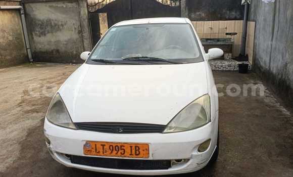 Buy Used Ford Focus Silver Car in Douala in Littoral Cameroon