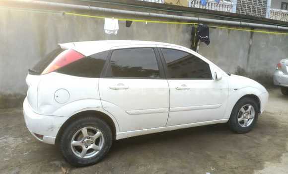Buy Used Ford Focus Silver Car in Douala in Littoral Cameroon Buy Used Ford Focus Silver Car in Douala in Littoral Cameroon