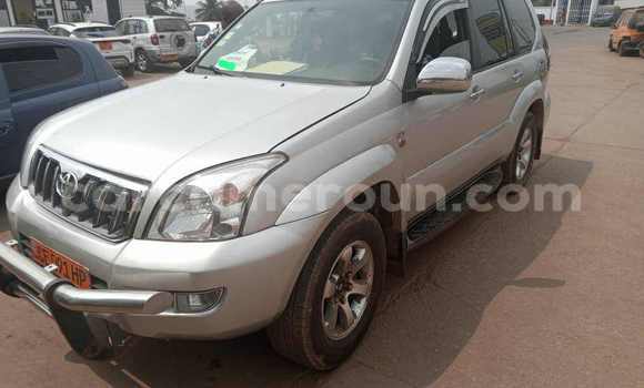 Buy Used Toyota Prado Silver Car in Yaounde in Central Cameroon Buy Used Toyota Prado Silver Car in Yaounde in Central Cameroon