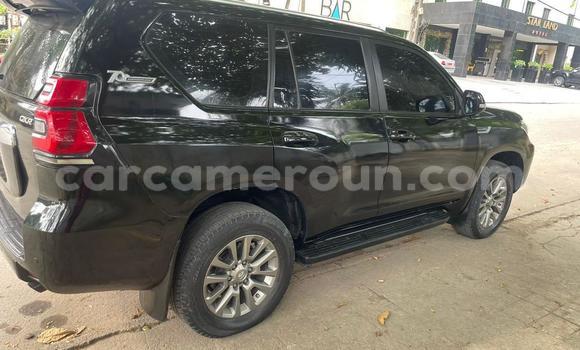 Buy Used Toyota Prado Black Car in Douala in Littoral Cameroon Buy Used Toyota Prado Black Car in Douala in Littoral Cameroon