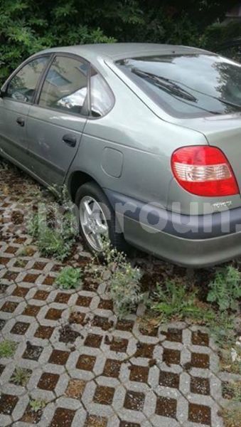 Big with watermark 43950442 10212981937887978 4533595391202951168 n