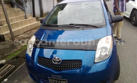 Buy Used Toyota Yaris Blue Car in Douala in Littoral Cameroon