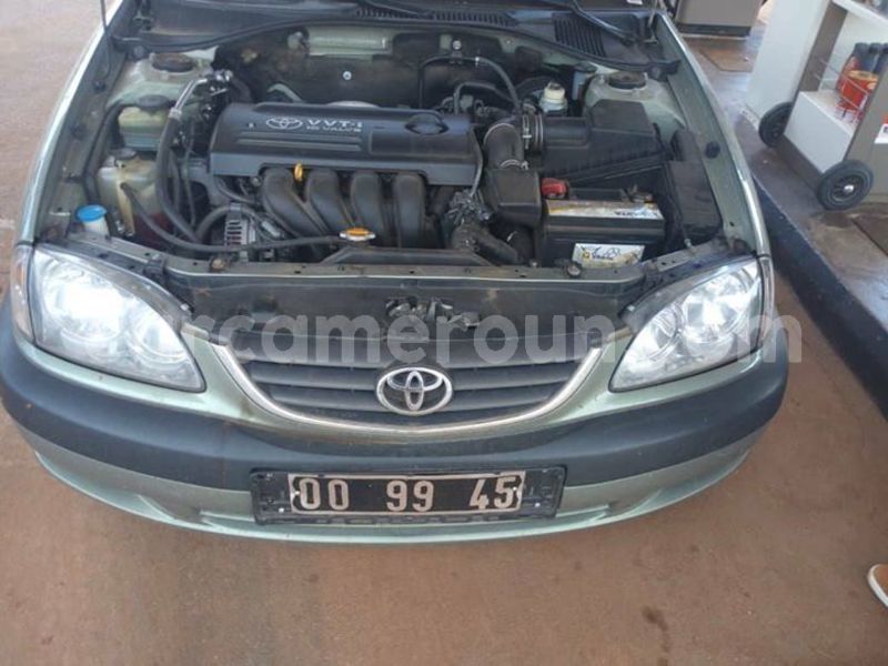 Big with watermark 43952042 10212981940168035 5698618580346601472 o