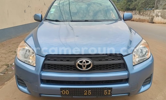Sayi Na hannu Toyota RAV4 Blue Mota in Yaounde a Babban Kamaru Sayi Na hannu Toyota RAV4 Blue Mota in Yaounde a Babban Kamaru