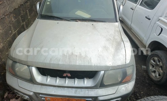 Acheter Occasion Voiture Mitsubishi Pajero Sport Gris à Douala, Littoral Cameroon