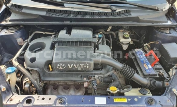 Buy Used Toyota Yaris Blue Car in Douala in Littoral Cameroon Buy Used Toyota Yaris Blue Car in Douala in Littoral Cameroon