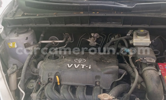 Acheter Import Voiture Toyota Yaris Verso Gris à Douala, Littoral Cameroon Acheter Import Voiture Toyota Yaris Verso Gris à Douala, Littoral Cameroon
