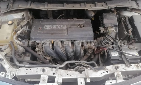 Acheter Occasion Voiture Toyota Corolla Gris à Douala, Littoral Cameroon Acheter Occasion Voiture Toyota Corolla Gris à Douala, Littoral Cameroon