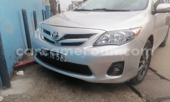 Acheter Occasion Voiture Toyota Corolla Gris à Douala, Littoral Cameroon Acheter Occasion Voiture Toyota Corolla Gris à Douala, Littoral Cameroon