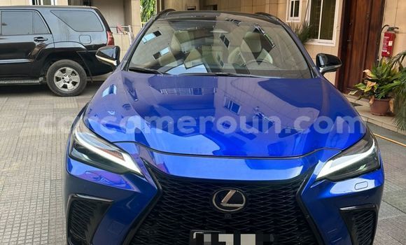 Acheter Occasion Voiture Lexus NX Bleu à Douala, Littoral Cameroon