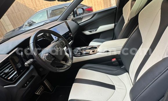 Acheter Occasion Voiture Lexus NX Bleu à Douala, Littoral Cameroon Acheter Occasion Voiture Lexus NX Bleu à Douala, Littoral Cameroon