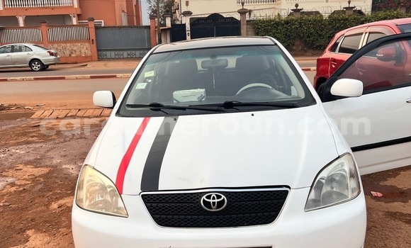 Buy Used Toyota Corolla White Car in Yaounde in Central Cameroon Buy Used Toyota Corolla White Car in Yaounde in Central Cameroon