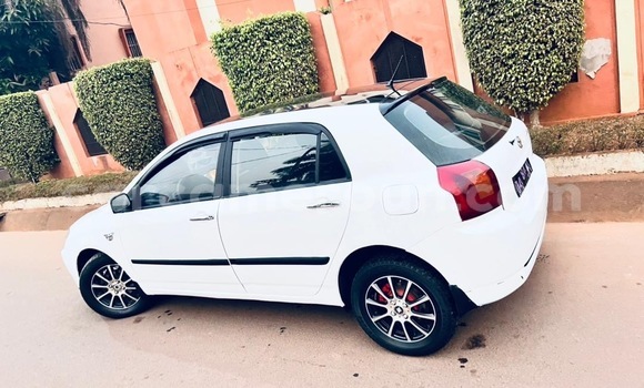 Buy Used Toyota Corolla White Car in Yaounde in Central Cameroon Buy Used Toyota Corolla White Car in Yaounde in Central Cameroon