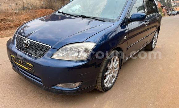 Buy Used Toyota Corolla Green Car in Yaounde in Central Cameroon
