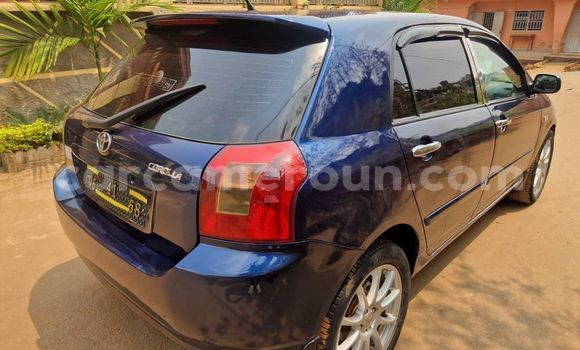 Buy Used Toyota Corolla Green Car in Yaounde in Central Cameroon Buy Used Toyota Corolla Green Car in Yaounde in Central Cameroon