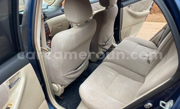 Buy Used Toyota Corolla Green Car in Yaounde in Central Cameroon Buy Used Toyota Corolla Green Car in Yaounde in Central Cameroon