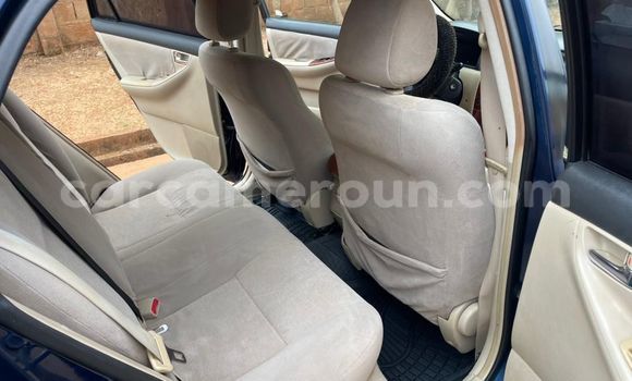 Buy Used Toyota Corolla Green Car in Yaounde in Central Cameroon Buy Used Toyota Corolla Green Car in Yaounde in Central Cameroon