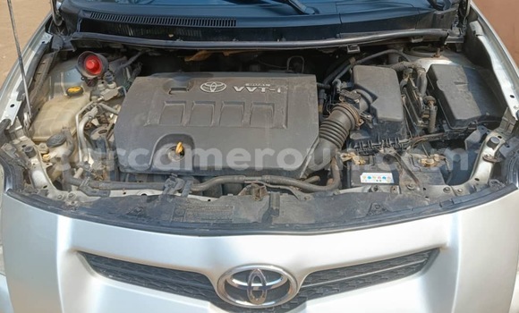 Buy Used Toyota Auris Silver Car in Yaounde in Central Cameroon Buy Used Toyota Auris Silver Car in Yaounde in Central Cameroon