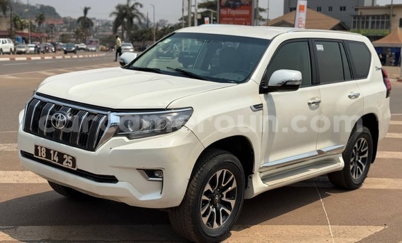 Buy Used Toyota Land Cruiser Prado White Car in Yaounde in Central Cameroon Buy Used Toyota Land Cruiser Prado White Car in Yaounde in Central Cameroon