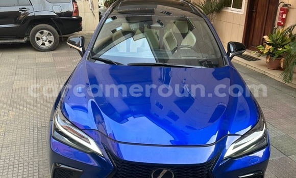 Acheter Import Voiture Lexus NX Bleu à Douala, Littoral Cameroon