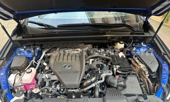 Buy Import Lexus NX Blue Car in Douala in Littoral Cameroon Buy Import Lexus NX Blue Car in Douala in Littoral Cameroon