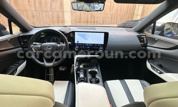 Buy Import Lexus NX Blue Car in Douala in Littoral Cameroon Buy Import Lexus NX Blue Car in Douala in Littoral Cameroon