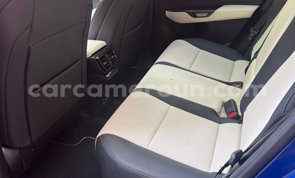 Buy Import Lexus NX Blue Car in Douala in Littoral Cameroon Buy Import Lexus NX Blue Car in Douala in Littoral Cameroon