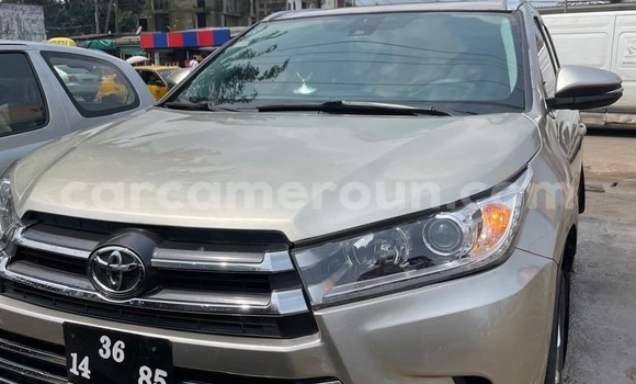 Buy New Toyota Highlander Other Car in Douala in Littoral Cameroon