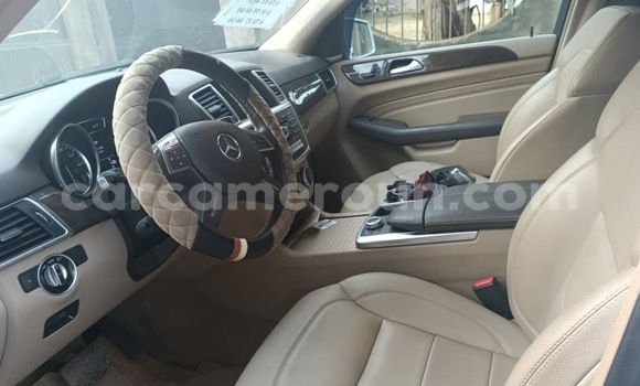 Buy Import Mercedes‒Benz ML–Class Silver Car in Douala in Littoral Cameroon Buy Import Mercedes‒Benz ML–Class Silver Car in Douala in Littoral Cameroon