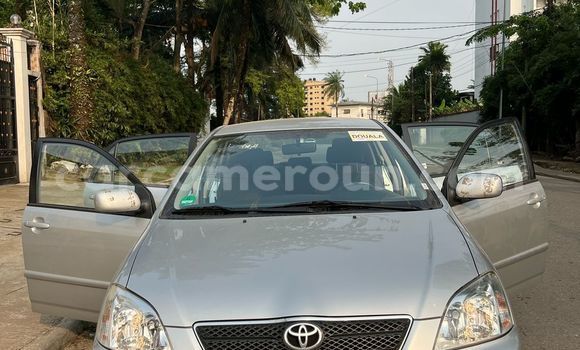Buy Used Toyota Corolla Silver Car in Douala in Littoral Cameroon