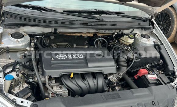 Acheter Occasion Voiture Toyota Corolla Gris à Douala, Littoral Cameroon Acheter Occasion Voiture Toyota Corolla Gris à Douala, Littoral Cameroon