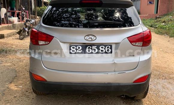 Buy Used Hyundai Tucson Silver Car in Douala in Littoral Cameroon Buy Used Hyundai Tucson Silver Car in Douala in Littoral Cameroon