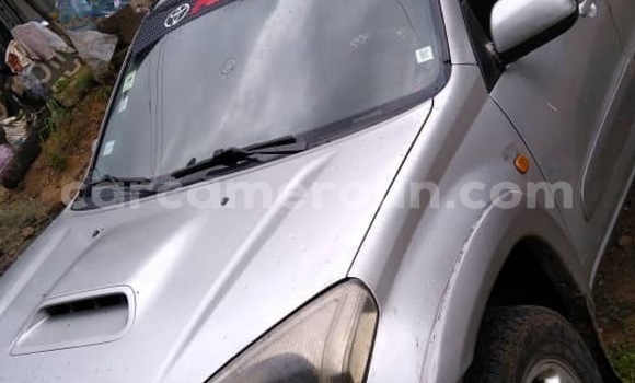 Acheter Occasion Voiture Toyota RAV4 Gris à Douala, Littoral Cameroon