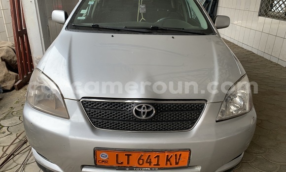 Sayi Na hannu Toyota Corolla Azurfa Mota in Douala a Ƙasar Kamaru