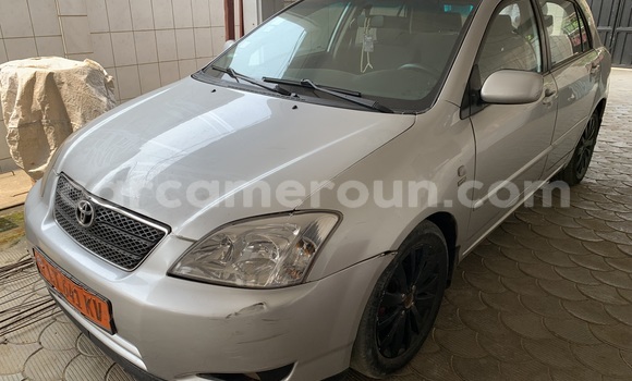 Acheter Occasion Voiture Toyota Corolla Gris à Douala, Littoral Cameroon Acheter Occasion Voiture Toyota Corolla Gris à Douala, Littoral Cameroon