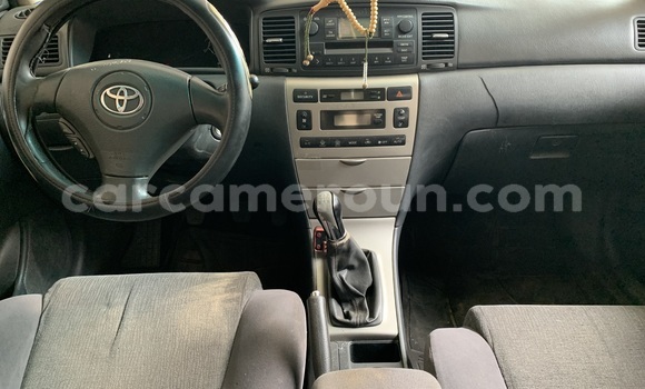 Acheter Occasion Voiture Toyota Corolla Gris à Douala, Littoral Cameroon Acheter Occasion Voiture Toyota Corolla Gris à Douala, Littoral Cameroon