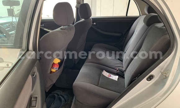 Acheter Occasion Voiture Toyota Corolla Gris à Douala, Littoral Cameroon Acheter Occasion Voiture Toyota Corolla Gris à Douala, Littoral Cameroon
